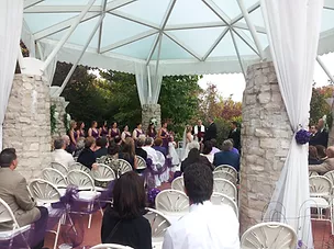 dave becherer - outdoor wedding at the butterfly house
